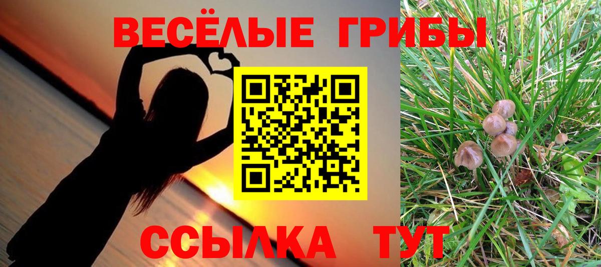Ярцево  где продают наркотики  Вход с VPN  Галлюциногенные грибы Psilocybine cubensis 